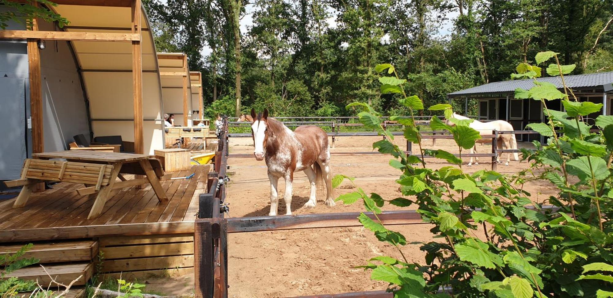 Camping De Reeenwissel Hoogersmilde Buitenkant foto