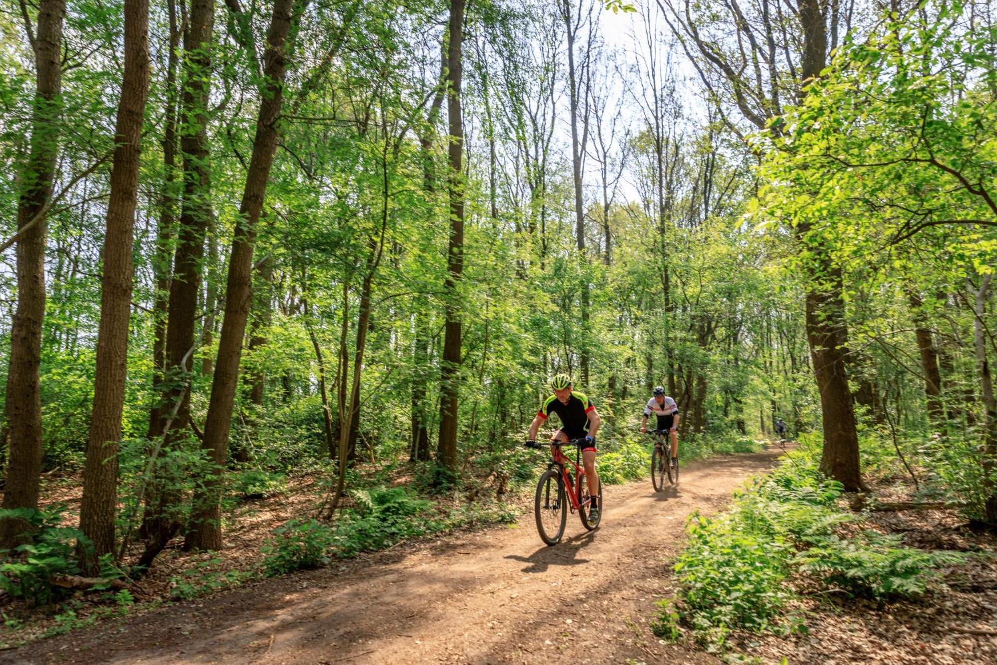 Camping De Reeenwissel Hoogersmilde Buitenkant foto